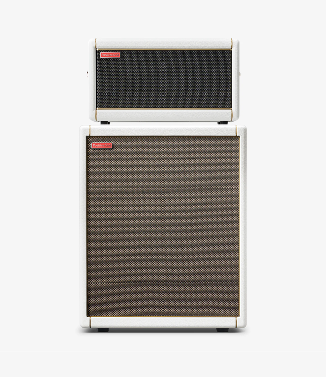 Positive Grid Spark CAB Guitar Amplifier Cabinet
