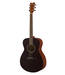 Yamaha Yamaha FS400 Concert - Smokey Black