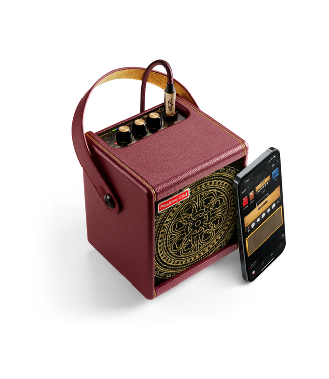 Positive Grid Spark MINI Guitar Amplifier & Bluetooth Speaker