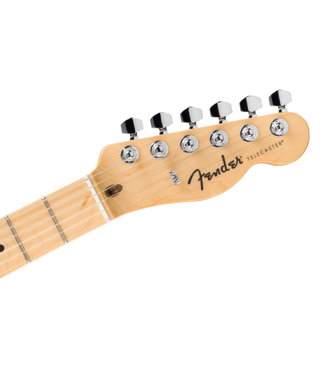 Fender Standard Telecaster - Maple Fretboard, Butterscotch Blonde