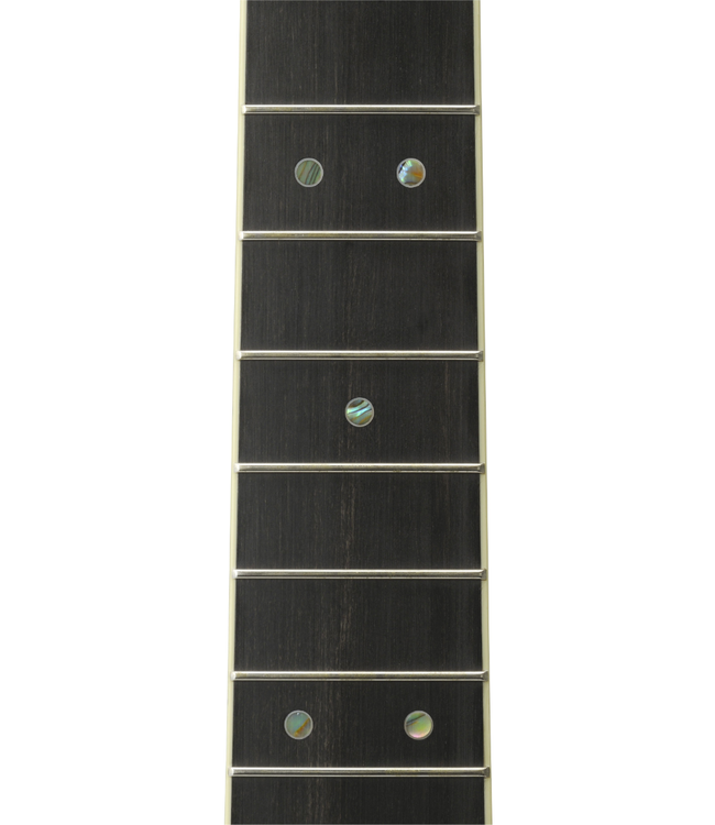 Yamaha LS16 ARE Concert - Dark Tinted