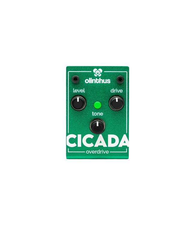 Olinthus Cicada Overdrive Pedal