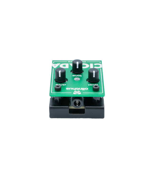 Olinthus Cicada Overdrive Pedal
