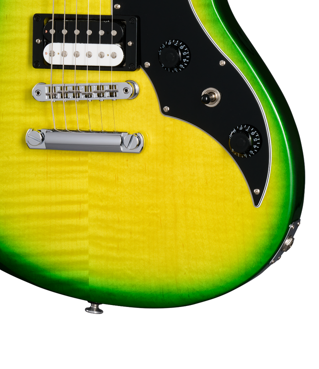 Gibson Victory Figured Top - Iguana Burst