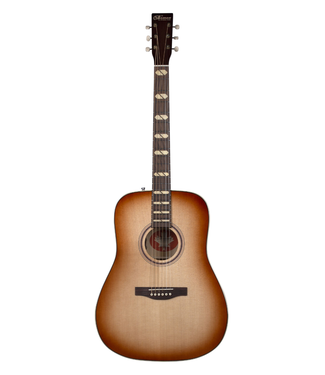 Norman Norman B-150 Anniversary Dreadnought - Vintage Burst