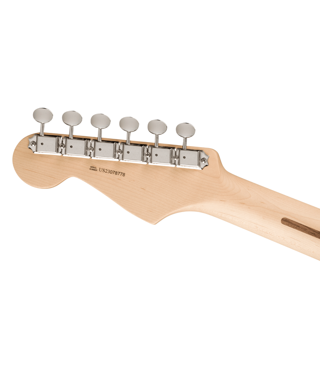 Fender Eric Clapton Stratocaster - Maple Fretboard, Black