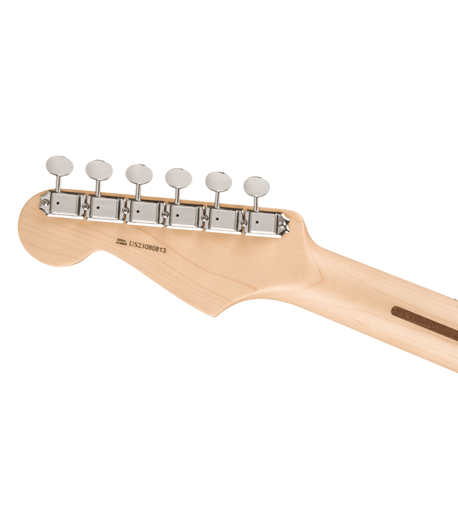 Fender Eric Clapton Stratocaster - Maple Fretboard, Pewter