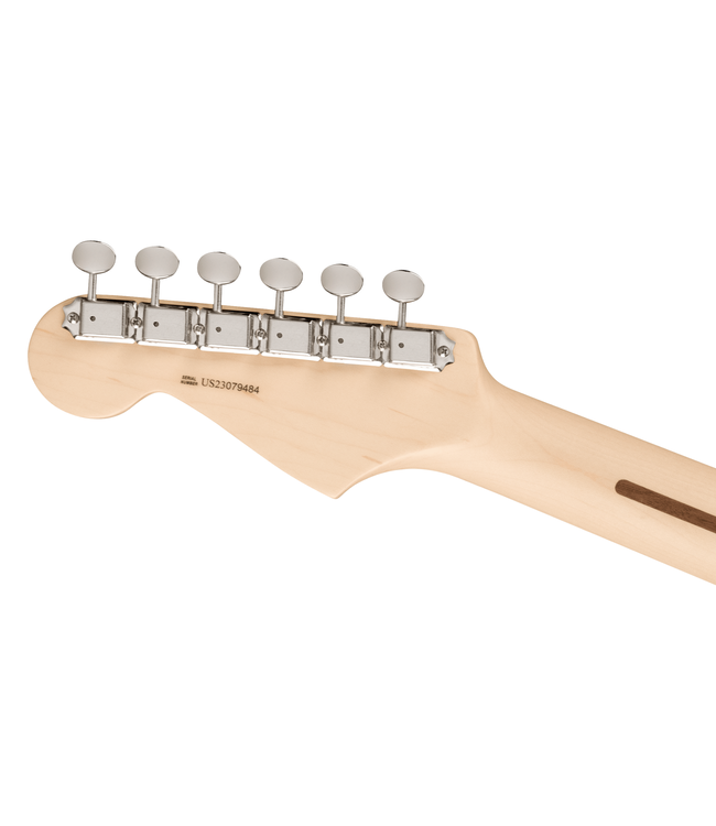 Fender Eric Clapton Stratocaster - Maple Fretboard, Olympic White