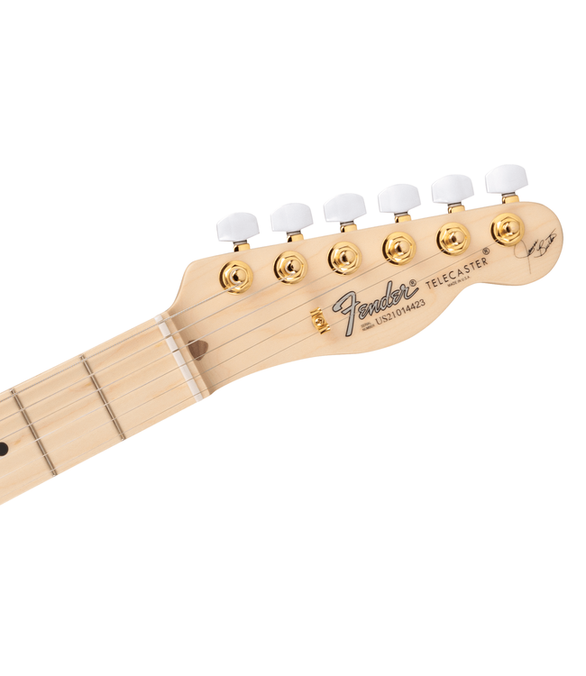 Fender James Burton Telecaster - Maple Fretboard, Blue Paisley Flames