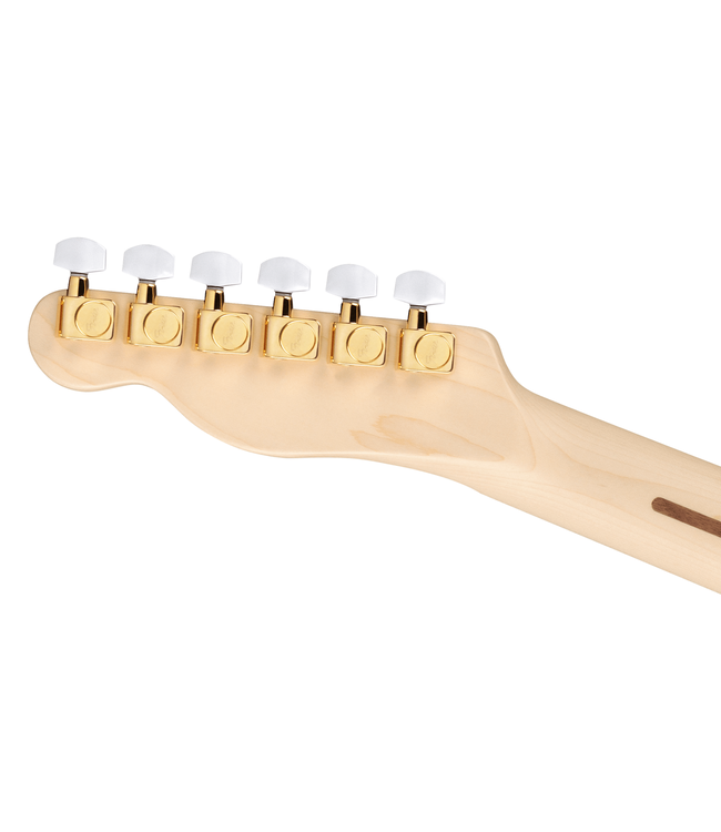 Fender James Burton Telecaster - Maple Fretboard, Blue Paisley Flames