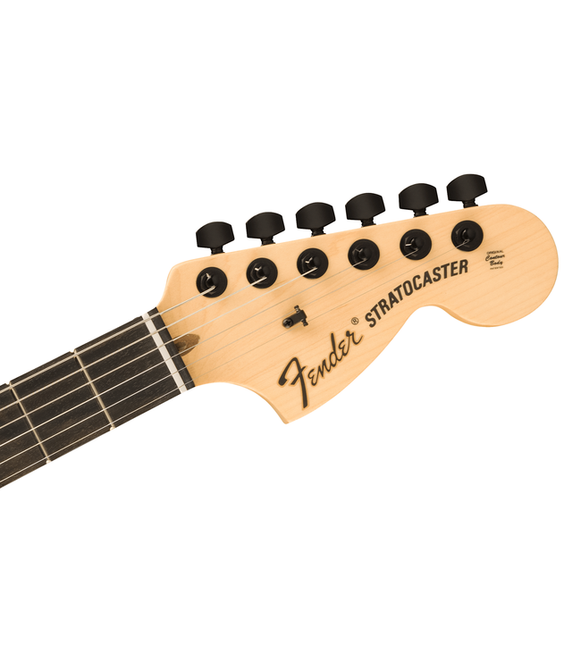 Fender Jim Root Stratocaster - Ebony Fretboard, Flat Black