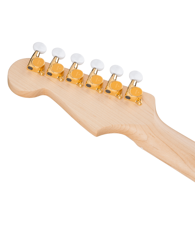 Fender Richie Kotzen Stratocaster - Maple Fretboard, Transparent Red Burst