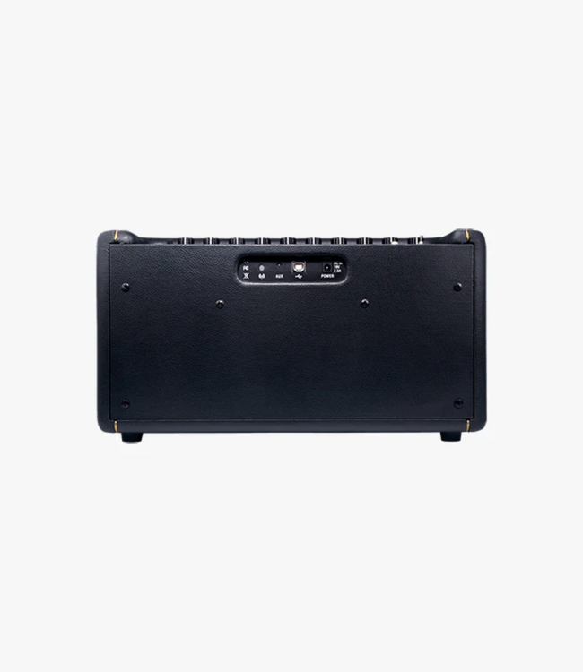 Positive Grid Spark Guitar Amplifier & Bluetooth Speaker