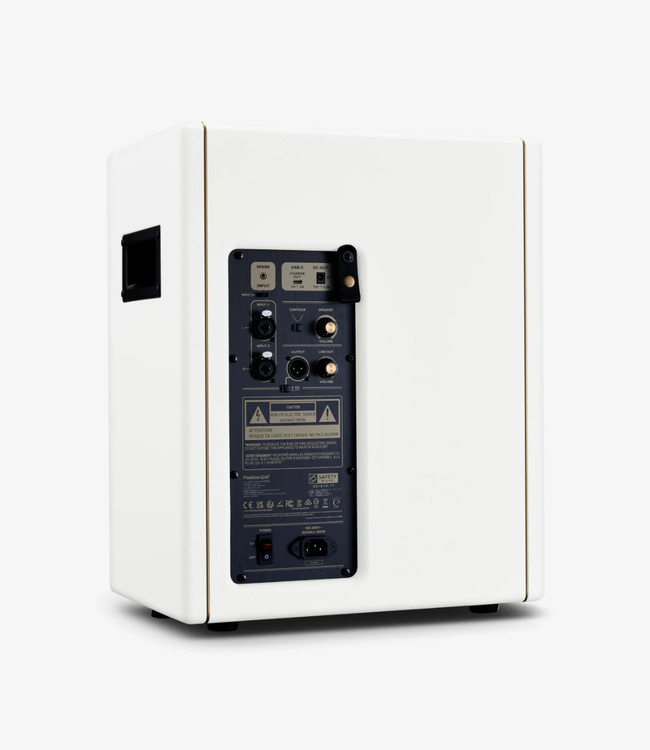 Positive Grid Spark CAB Guitar Amplifier Cabinet