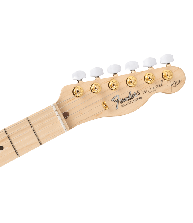 Fender James Burton Telecaster - Maple Fretboard, Red Paisley Flames