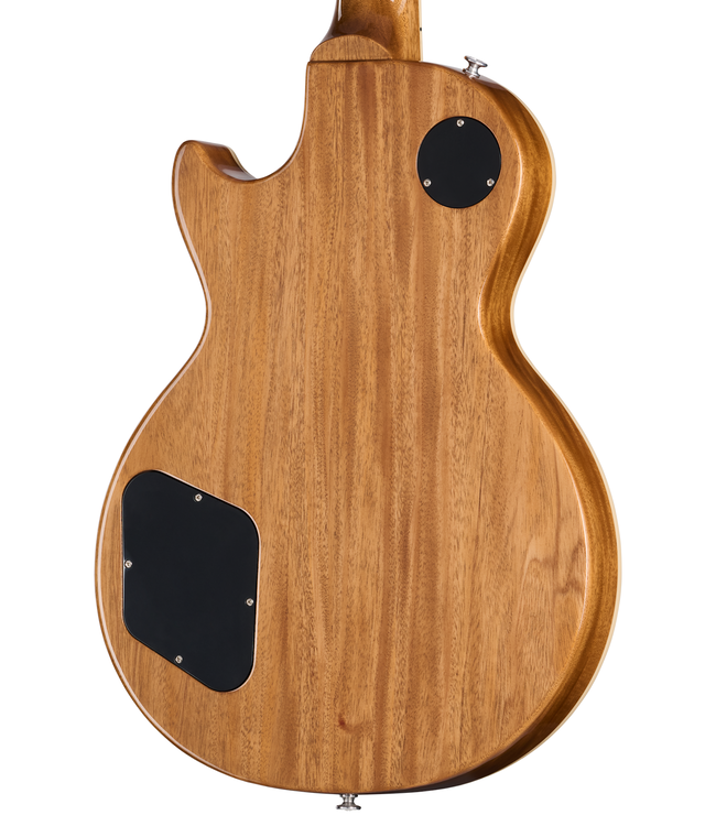 Gibson Les Paul Standard '50s Double Trouble - Vintage Honey Burst