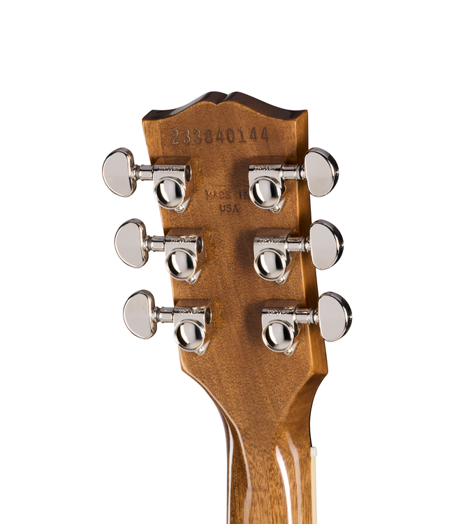 Gibson Les Paul Standard '60s Double Trouble - Vintage Honey Burst