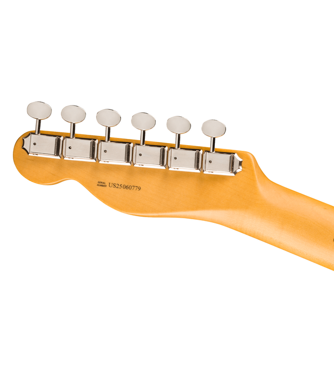 Fender American Professional Classic Telecaster - Maple Fretboard, Butterscotch Blonde