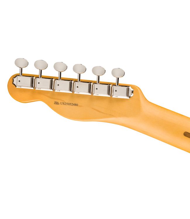 Fender American Professional Classic Telecaster - Maple Fretboard, Faded Lake Placid Blue