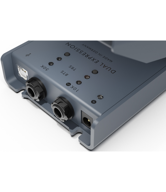 Lehle Dual Expression Pedal