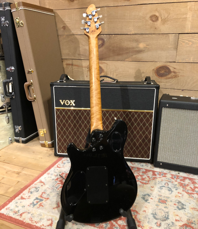 Peavey EVH Wolfgang USA (Used)