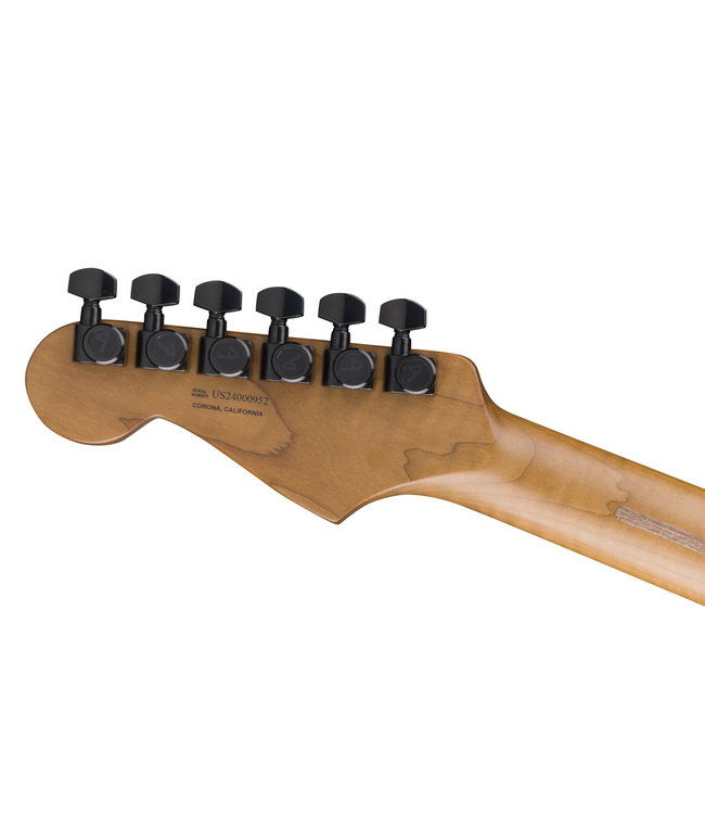 Fender American Professional II Stratocaster HSS - Roasted Flame Maple Fretboard, Eclipse