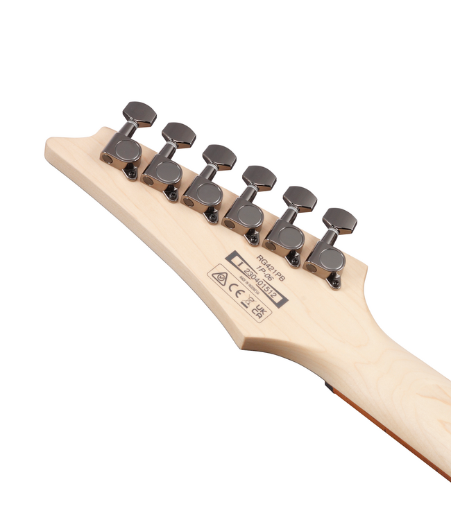Ibanez RG Standard RG421PB - Caribbean Shoreline Flat