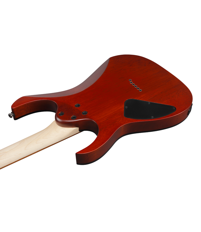 Ibanez RG Standard RG421PB - Caribbean Shoreline Flat