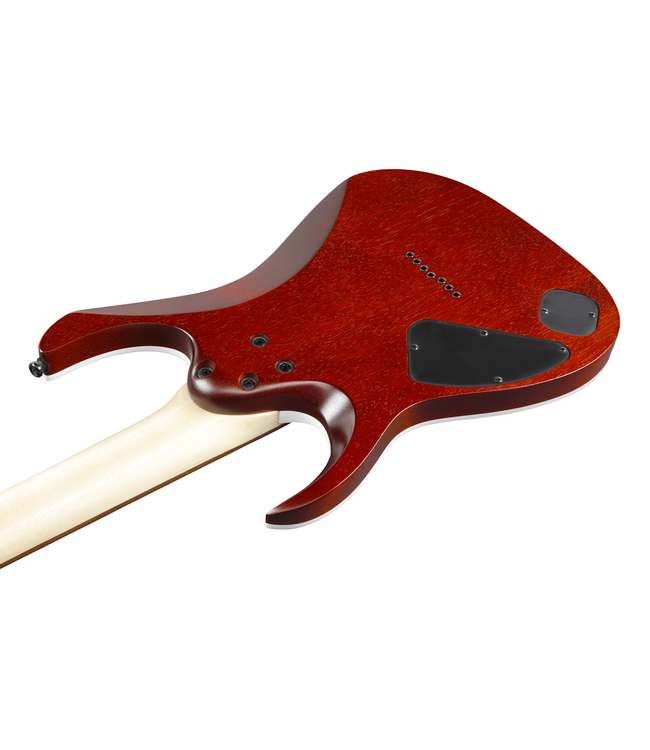 Ibanez RGA Standard RGA742FM - Transparent Grey Flat