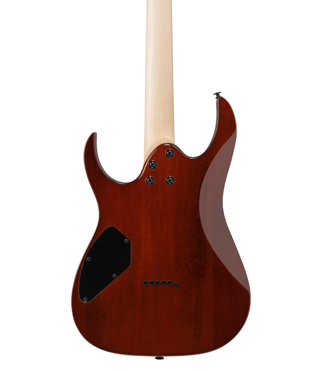 Ibanez RG Gio GRGR221PA - Aqua Burst