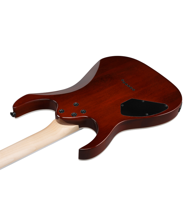 Ibanez RG Gio GRGR221PA - Aqua Burst