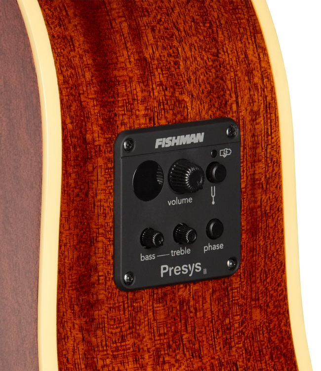 Epiphone J-45 Standard EC - Honey Burst