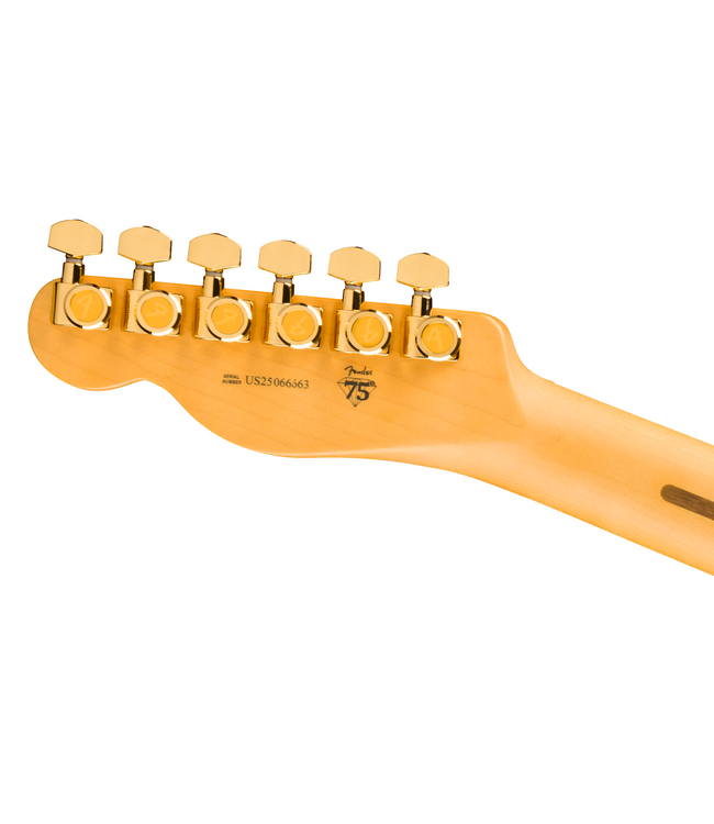 Fender 75th Anniversary American Professional Custom Telecaster - Maple Fretboard, 2-Colour Sunburst