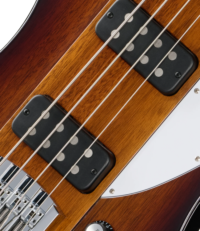Gibson Thunderbird Bass - Tobacco Burst Perimeter
