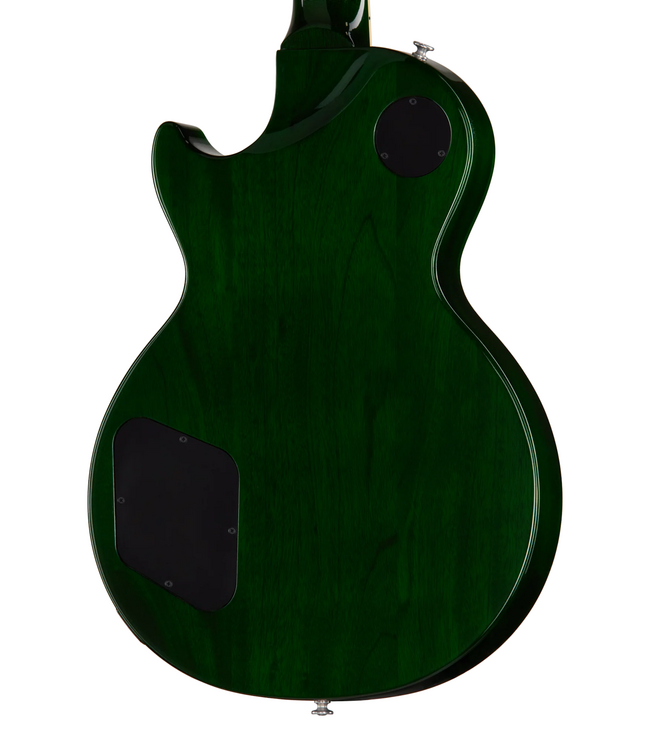 Gibson Les Paul Studio Session - Iguana Burst