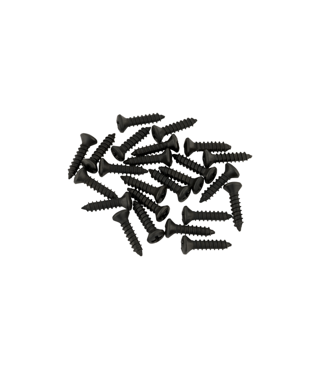 Fender Genuine Parts Pickguard/Control Plate Mounting Screws