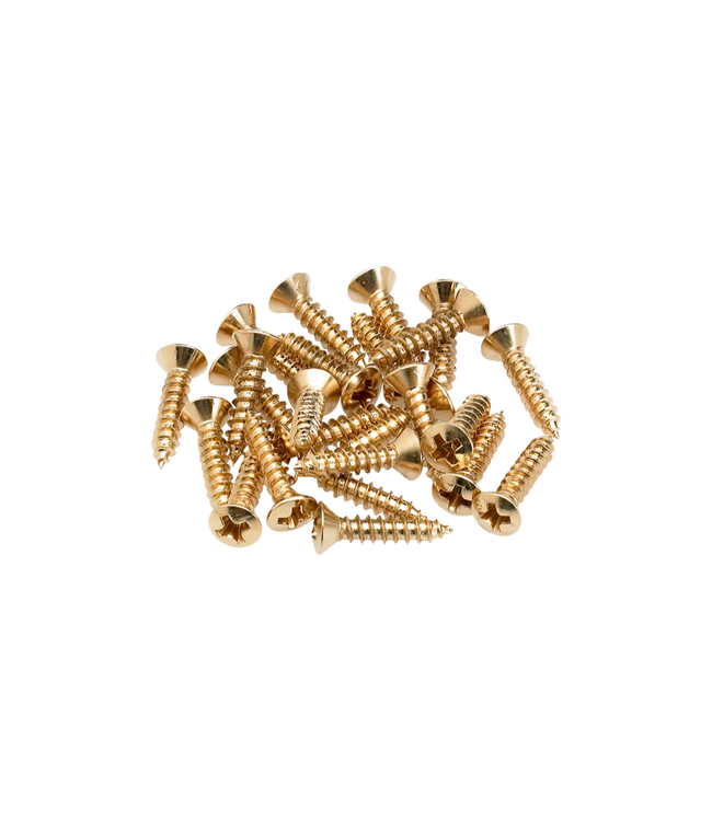Fender Pickguard/Control Plate Mounting Screws