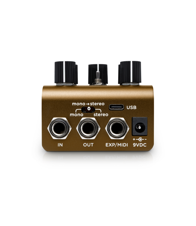 Strymon Olivera Vintage Oil Can Echo Pedal