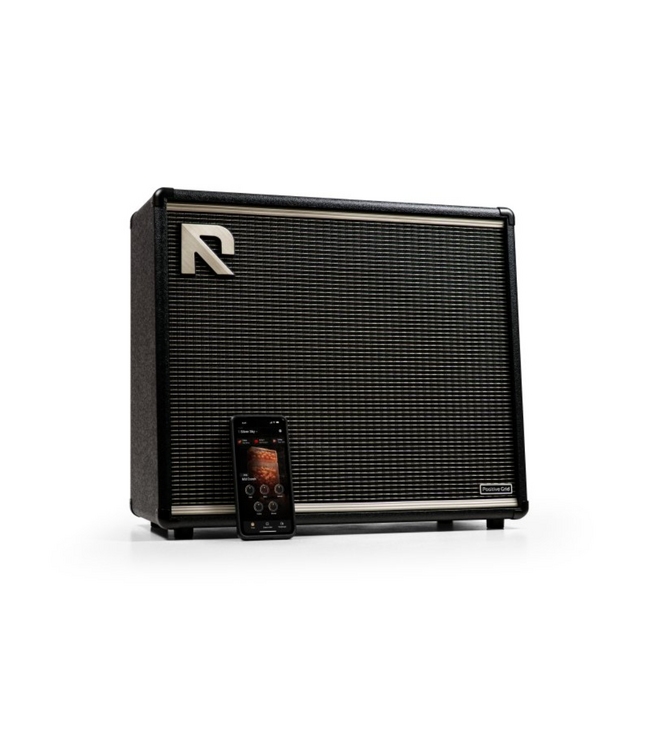 Positive Grid Positive Grid Reactor 100 Intelligent Guitar Amplifier