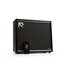 Positive Grid Positive Grid Reactor 100 Intelligent Guitar Amplifier