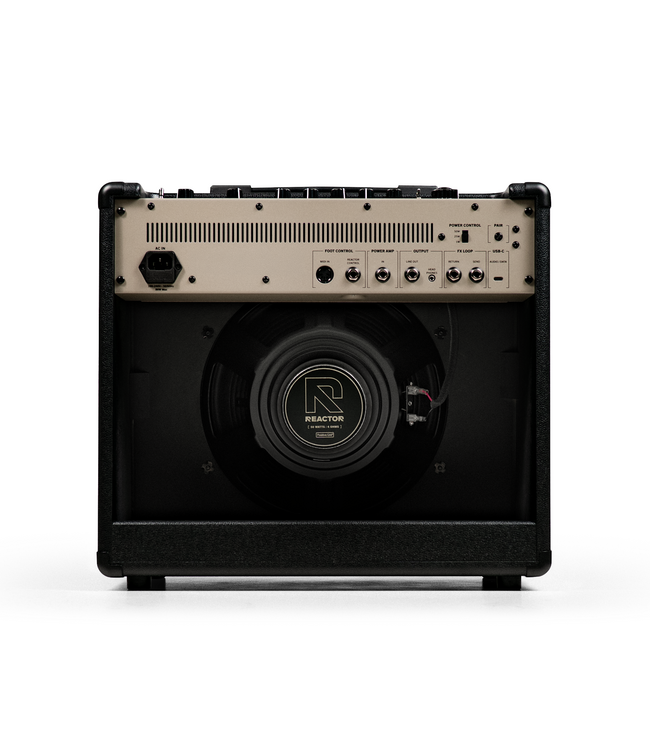 Positive Grid Reactor 50 Intelligent Guitar Amplifier