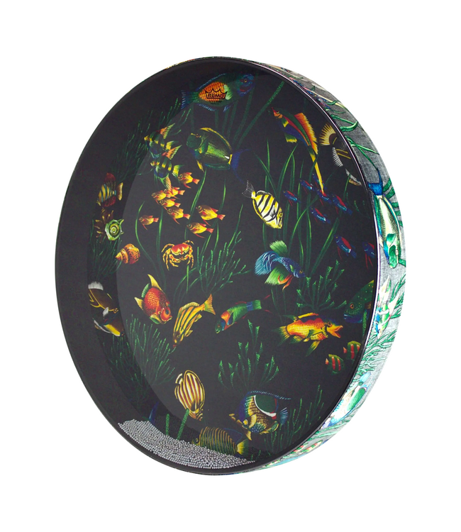 Remo Ocean Drum