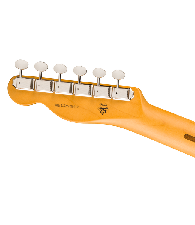 Fender American Professional Classic Telecaster - Maple Fretboard, Vintage Blonde