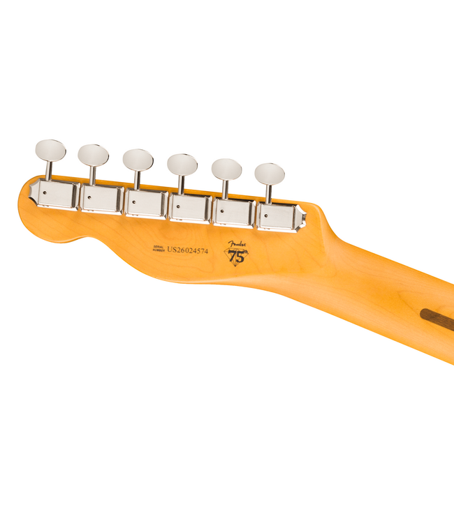 Fender American Professional Classic Telecaster - Rosewood Fretboard, Sonic Blue