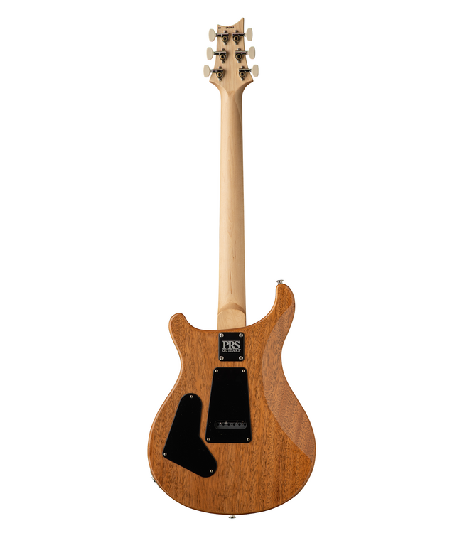 PRS CE 24 - Carroll Blue