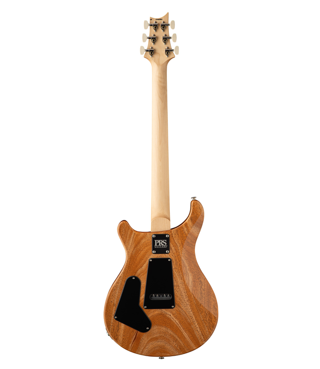 PRS CE 24 - Faded Abalone