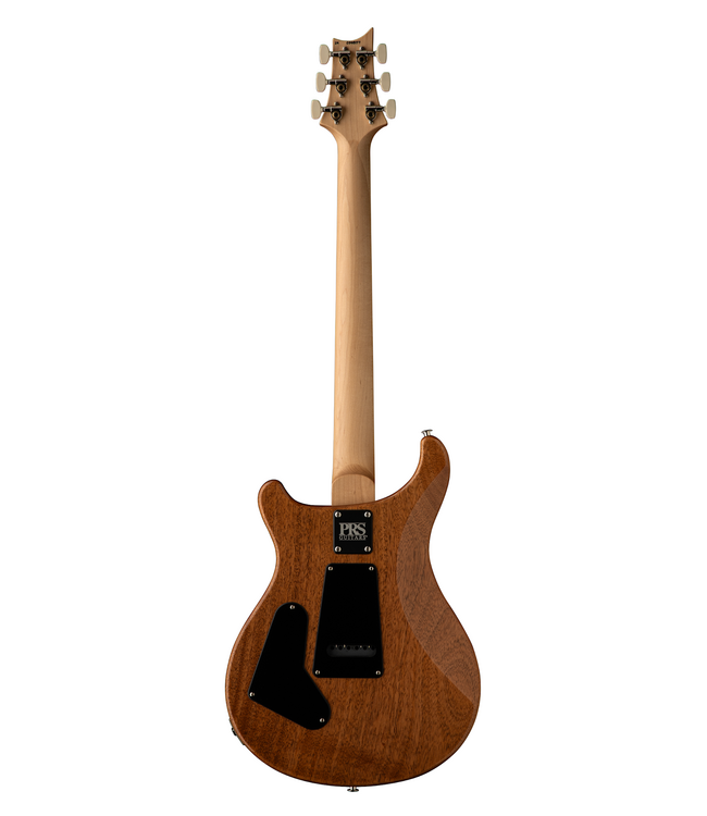 PRS CE 24 Semi-Hollow - Carroll Blue