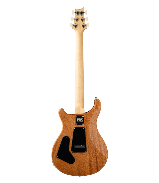 PRS CE 24 Semi-Hollow - Faded Abalone
