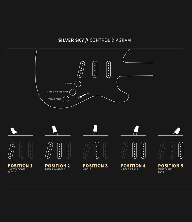 PRS Silver Sky - Maple Fretboard, Tungsten