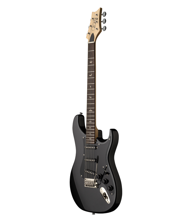 PRS SE Silver Sky Defender - Rosewood Fretboard, Carpathian Grey